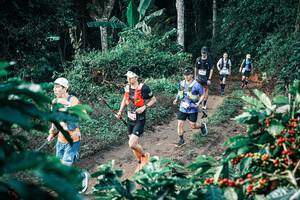 BIB: 
                            <button type="button" onclick="openModal(25800366)" class="btn btn-primary btn-sm float-right btn-popup" data-toggle="modal" data-target=".modal-high-quality">
                        <i class="fas fa-shopping-cart"></i> Add to Cart
                    </button>
                                            <button type="button" onclick="isThisMe(25800366, true)" class="btn btn-success btn-sm float-right btn-popup btn-isme hidden" data-toggle="tooltip" data-placement="bottom" title="นี่คือรูปของคุณใช่ไหม คลิกที่นี่เพื่อเอาเข้าอัลบั้ม">
                        <i class="fas fa-plus"></i> Add to album
                    </button>
                    <button type="button" onclick="isThisMe(25800366, false)" class="btn btn-warning btn-sm float-right btn-popup btn-isnotme hidden">
                        <i class="fas fa-ban"></i> Remove from album
                    </button>